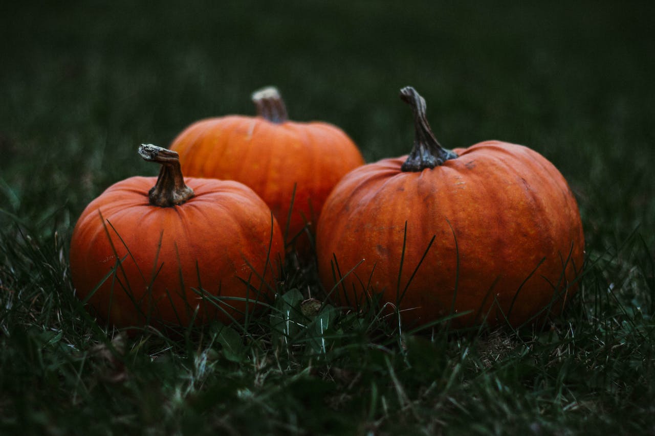 Unlocking the Nutritonal Secrets of Pumpkins